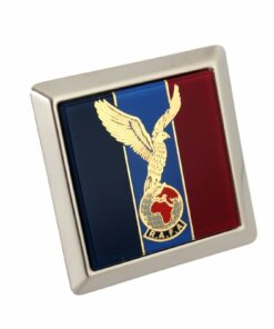 Royal Air Force Association Car Badge